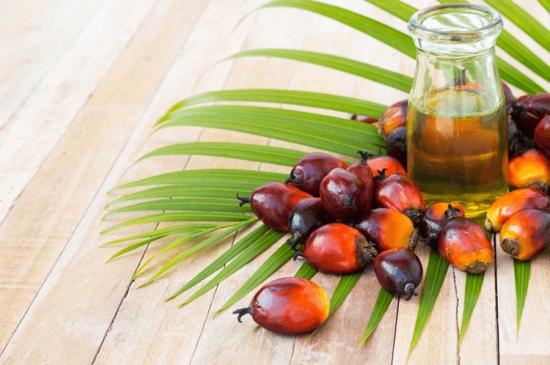 Palm oil is a key vegetable oil that is a natural source for oleochemicals