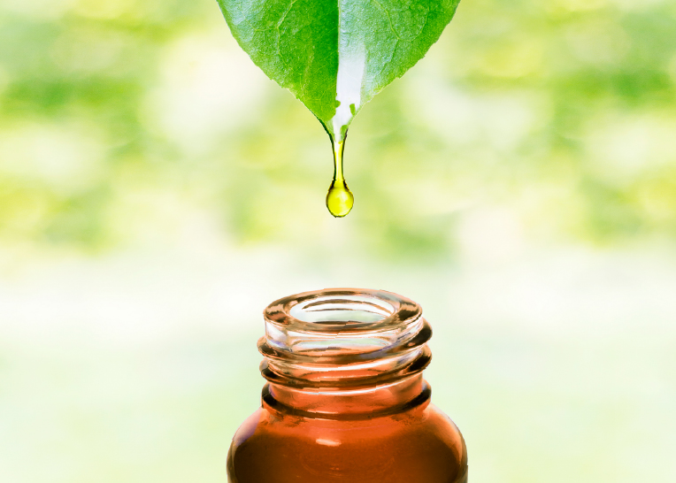 leaf dripping oleochemical into brown bottle